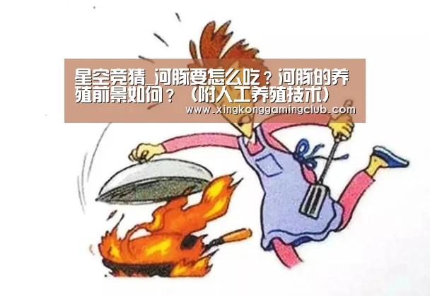 星空竞猜