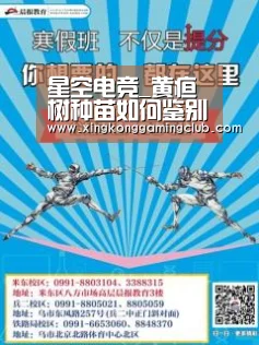 星空下载