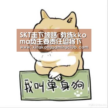 SKT走下坡路 教练kkoma负主要责任恐将下台:星空娱乐(图2) 星空下载